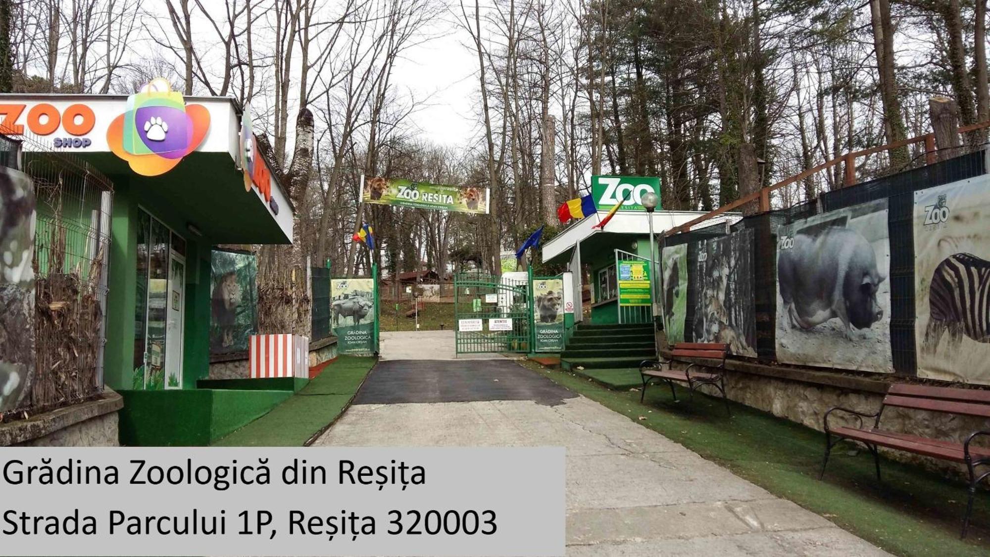 Casa Rusu -Victoria-Self Check In-24H Lägenhet Resita Exteriör bild